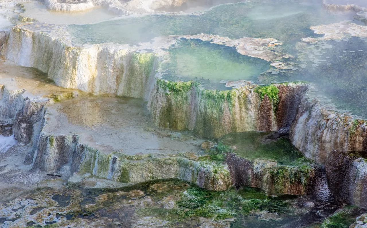 New Blue Spring 