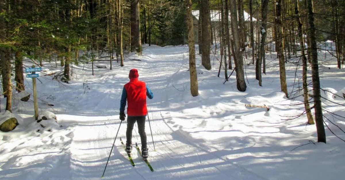post-11 Best Yosemite Ski & Snowboard Activities To Try