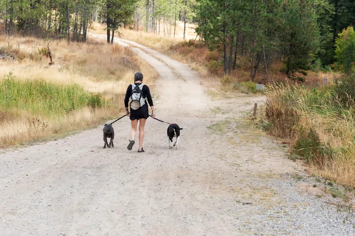 post-Hiking Alone Safety Tips: How To Protect While Solo Hiking