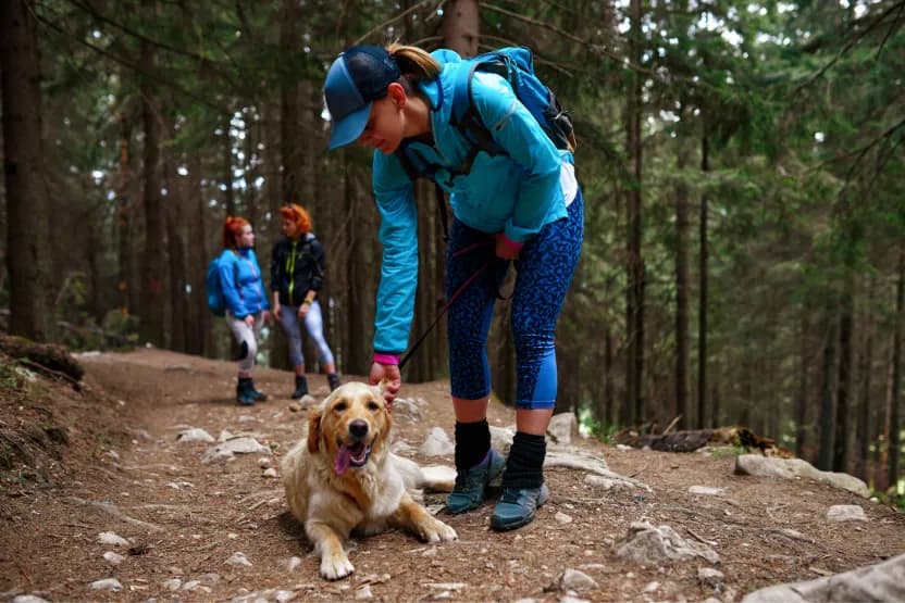 post-12 Hiking With Pets Safety Tips: Must-Know Essential Safety