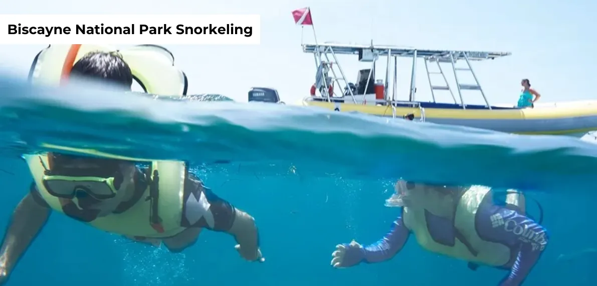 post-Biscayne National Park Snorkeling: Review Tours and Experience