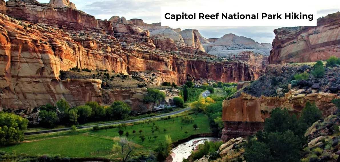 post-Best Hikes in Capitol Reef National Park