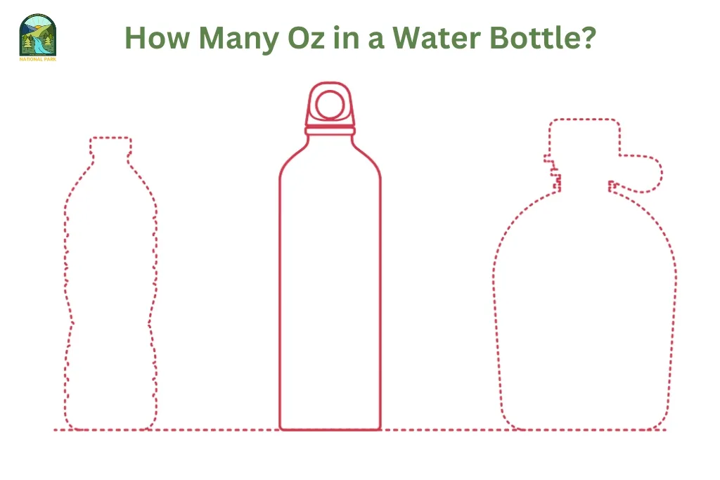 post-How Many Oz in a Water Bottle? Half-Gallon, 32 oz, or 16 oz