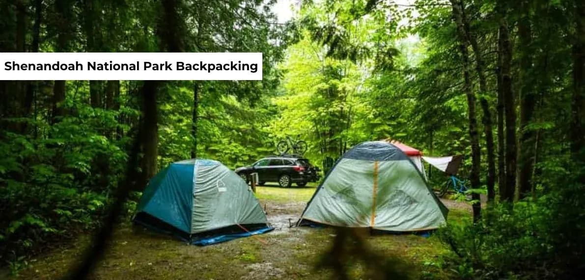 post-Recommend Shenandoah National Park Backpacking Trip And Permit