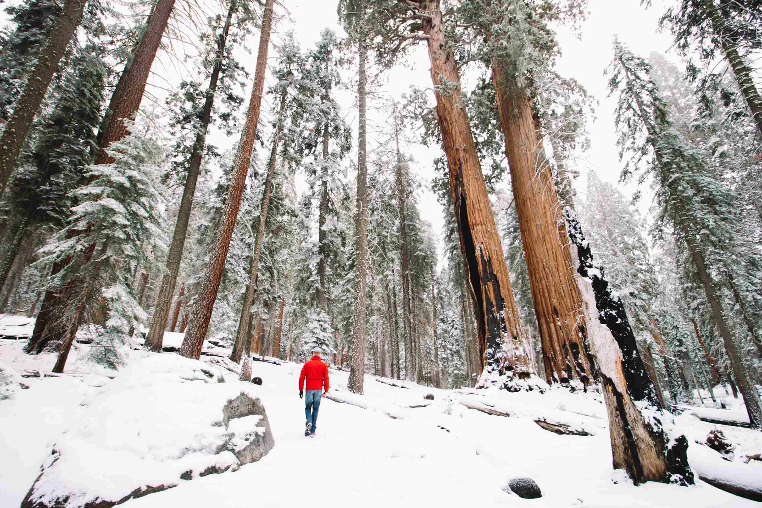 post-11 Best Winter Hiking Trails In The USA for Explorers