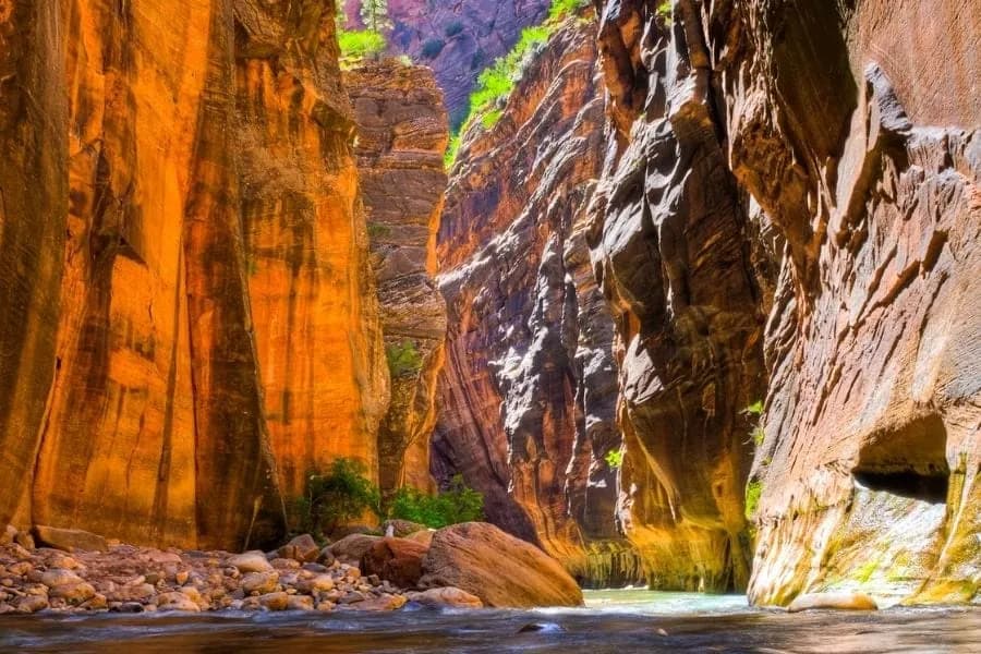 post-Best Time to Visit Zion National Park: Month-by-Month Guide